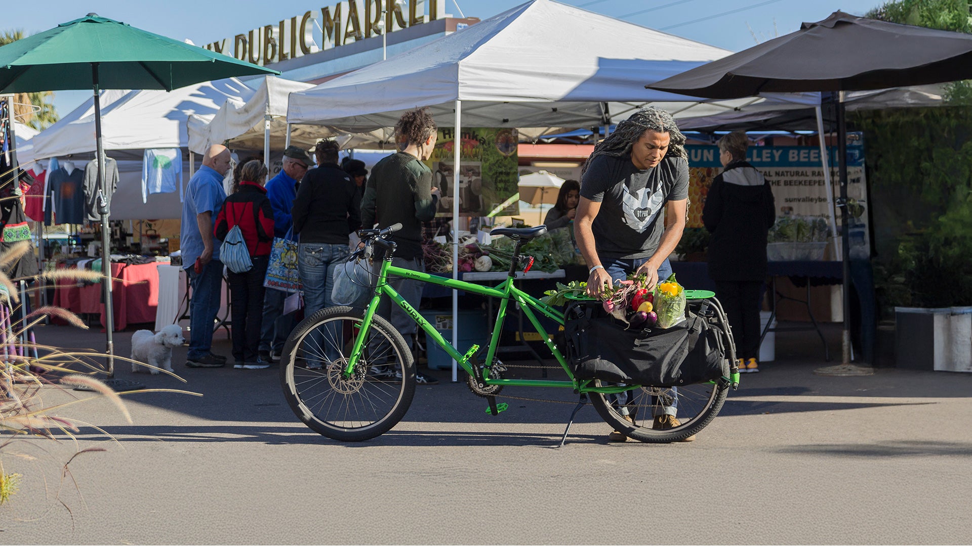 Person loading farmers market goodies onto Surly Big Dummy