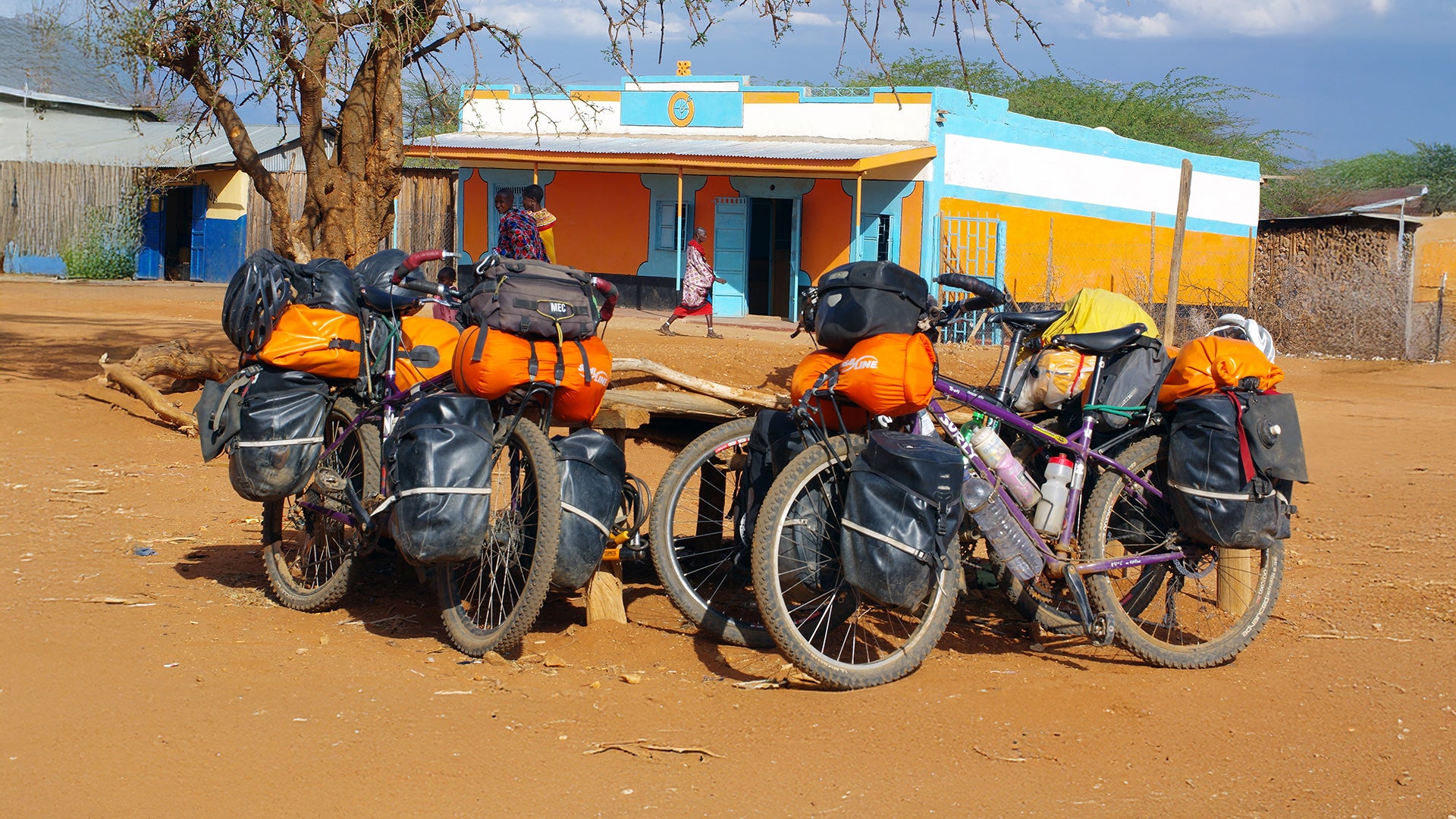 Surly touring bikes fully-loaded parked next to tree