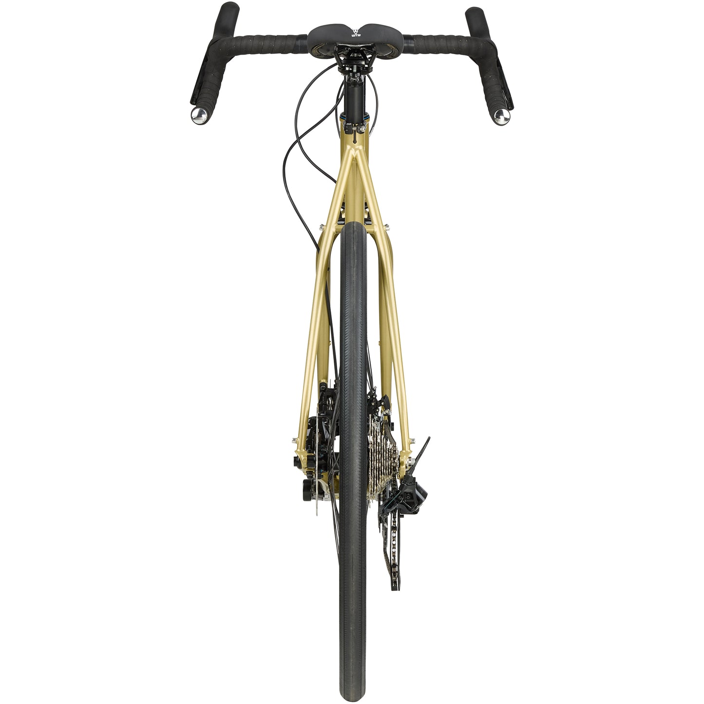 Surly Midnight Special bike Fool's Gold rear view