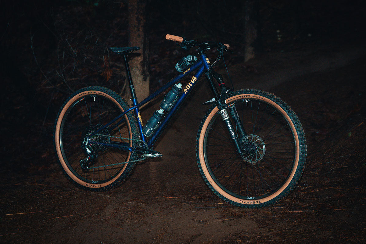 Purple Soceress bike with knobby tires in woods at night with flash