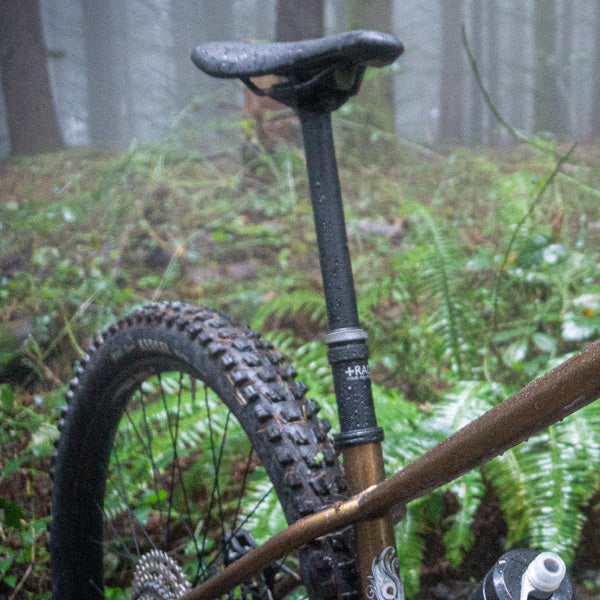 Mountain bike in a forest setting with a blurred background