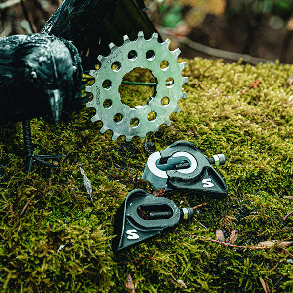 Metallic bike chainring and sprocket set on a mossy surface with a crow nearby.