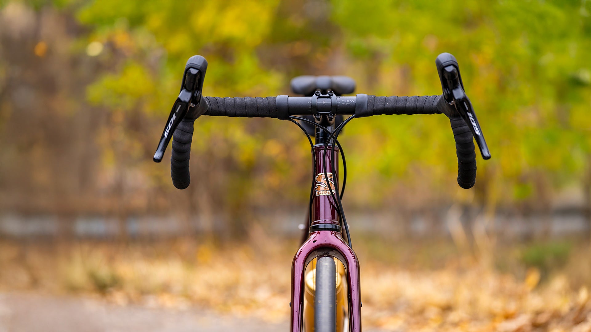 Surly Midnight Special bike straight-on front view outside with blurred natural background
