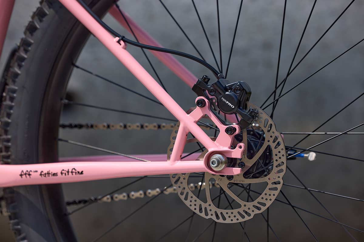 Surly Lowside bike, showing rear wheel, brake caliper, and rotor