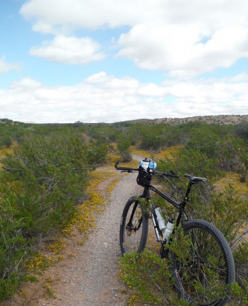 Rear, left side view of a black Surly Karate Monkey bike, facing down a gravel trail in a field of prairie bushes