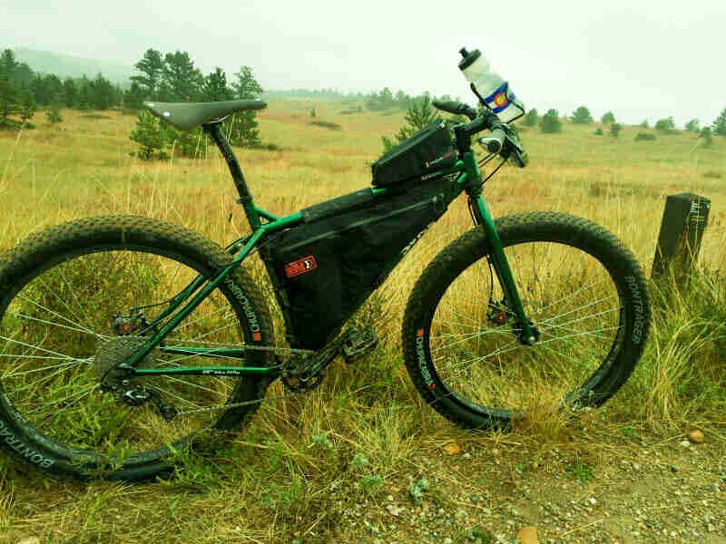 Right side view of a green Surly bike, standing weeds, with a grassy prairie field and trees in the background