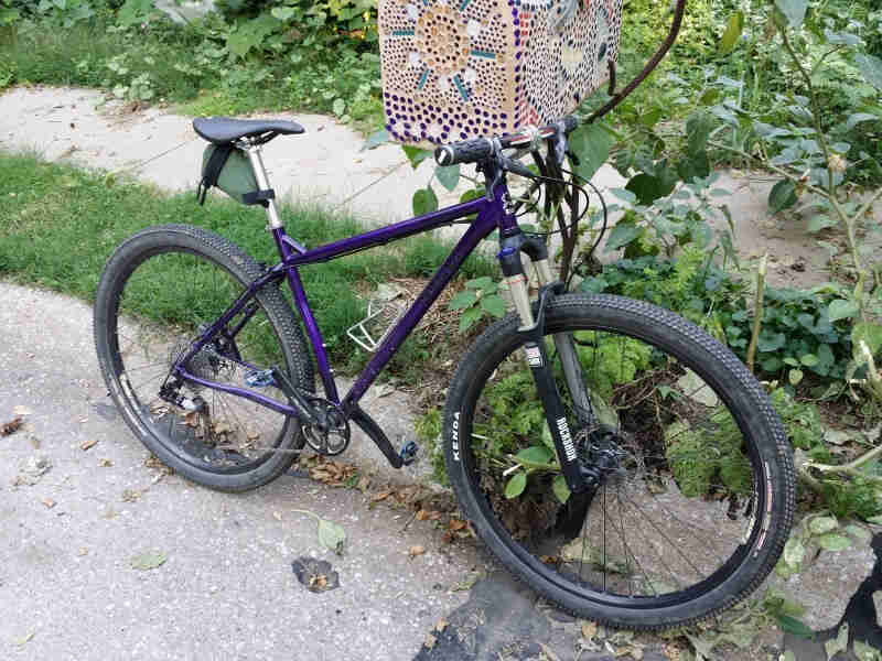 Right side view of a dark blue Surly bike, parked along a street curb, next to a mosaic mailbox with a sidewalk behind