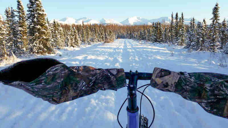 Cropped view of bike handlebars, with camo hand protectors, facing down a snow covered field between pine trees