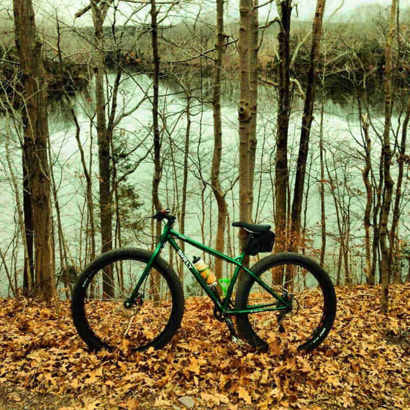 Left side view of a green Surly bike, parked in a bed of leaves with trees and a river in the background