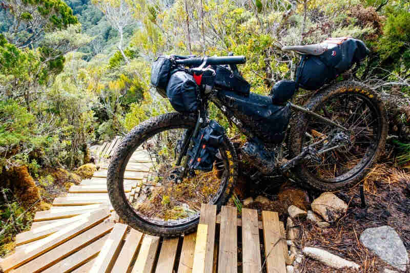 Left side view of a black Surly fat bike with gear packs, parked on top of a forest hill, next to winding wooden stairs