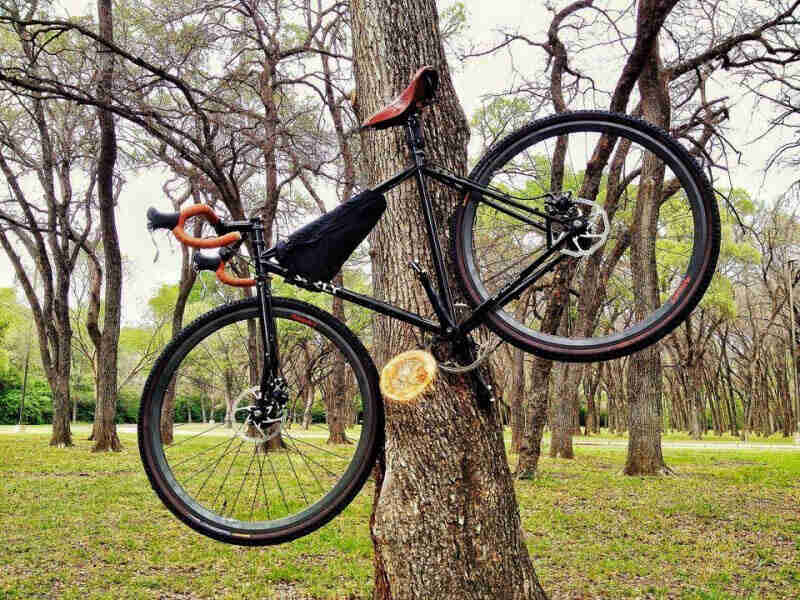 Left side view of a black Surly bike hanging from a cut branch on tree in a forest