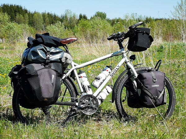 Troll bike loaded with more bags on top of rear rack, side view parked in tall grass
