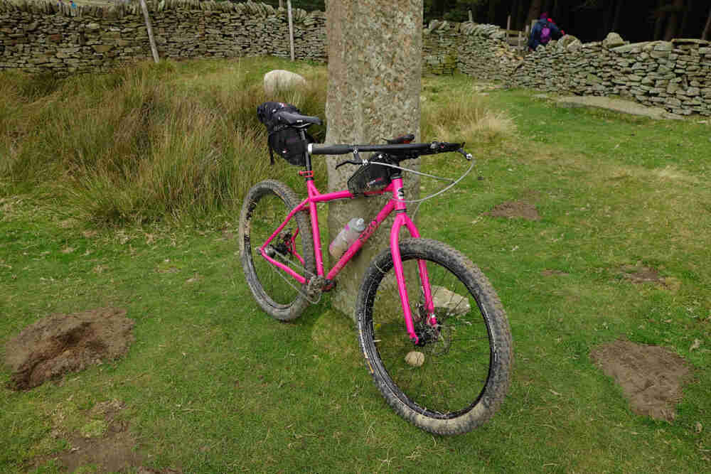 Front, right side view of a pink Surly 1x1 bike, parked on the grass, against a tree