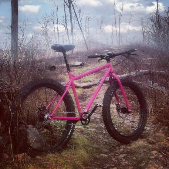 Right side view of a pink Surly bike, standing across a rocky trail, with small bare trees on the sides