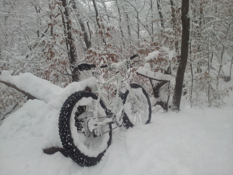 Rear, right side view of a white Surly fat bike, coated with snow, in the snowy woods