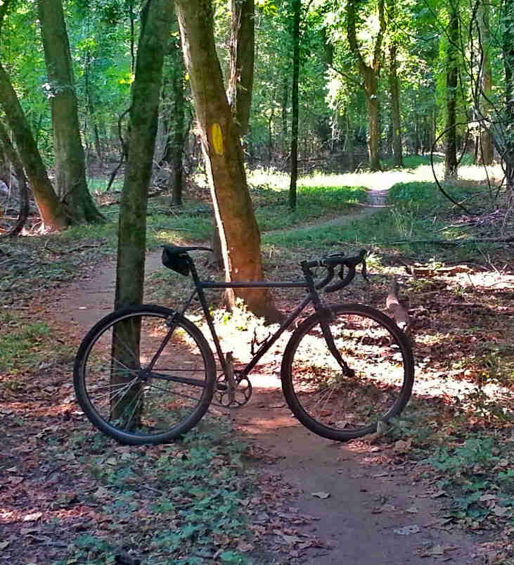Right profile of a bike, parked across a narrow dirt trail in the forest