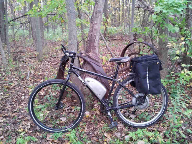 Left side view of a black Surly Karate Monkey bike, with rear saddlebags, leaning on a tree in the woods