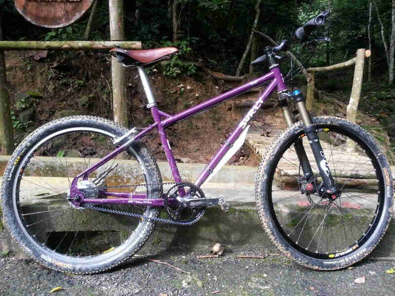 Right side view of a purple Surly bike, parked along a street curb, with a forest trail behind it