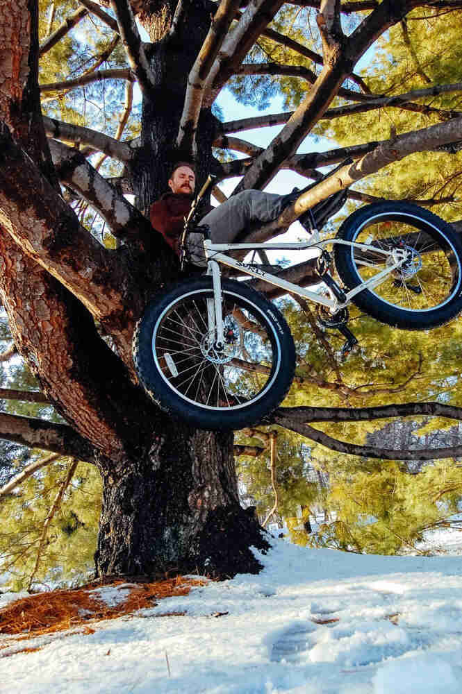 Upward view of a cyclist laying on a tree branch, with their Surly fat bike hanging under them, with snow on the ground