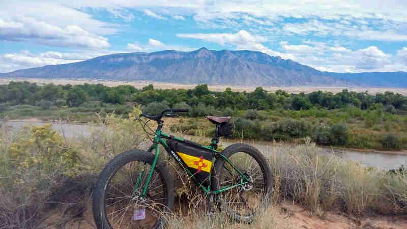 Left side view of a green Surly bike, parked in tall weeds, with a river, trees and a mountain in the background