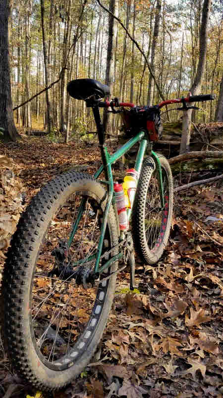 Rear view of a Surly bike, green, parked on leaf covered clearing in a forest