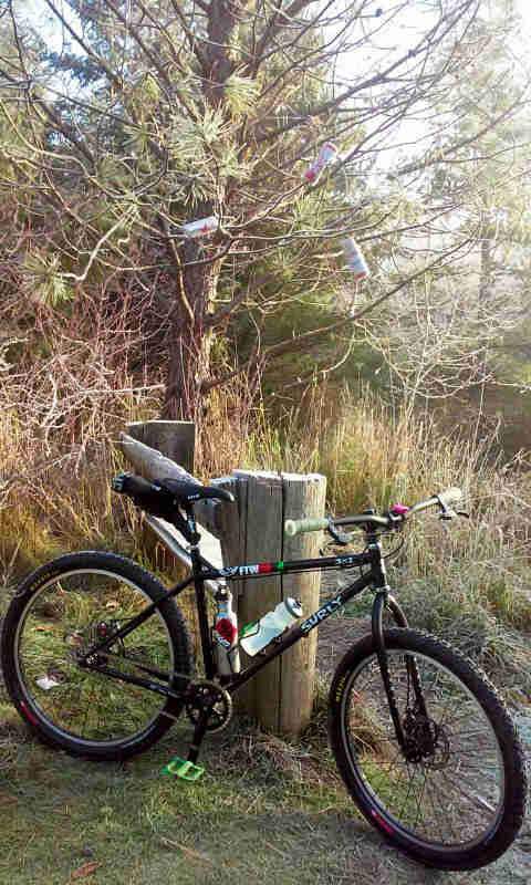 Right side view of a black Surly bike, parked on grass next to a tree stump, with the woods in the background