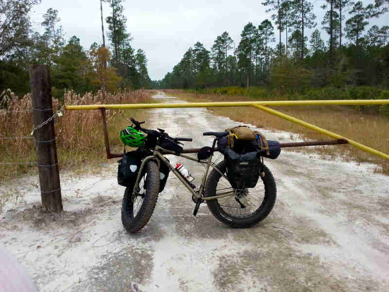 Left side view of a Surly fat bike, olive, parked across a road, in front of a closed gate, with trees in the background