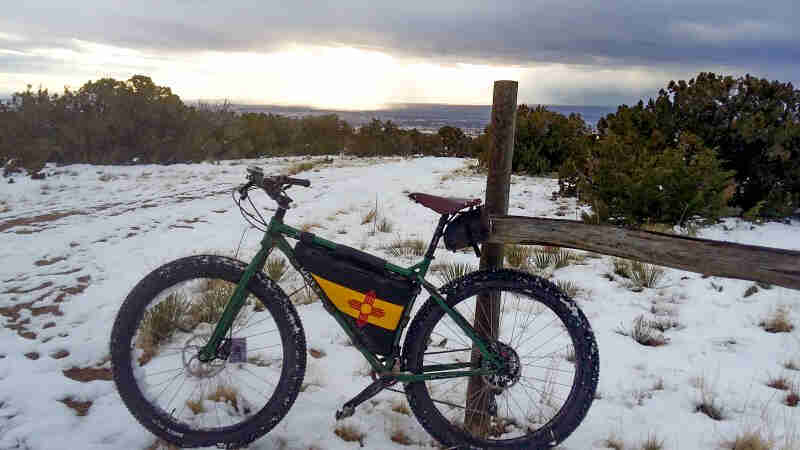 Left side view of a green Surly bike with frame bag, parked in snow against a wood post, with bushes in the background