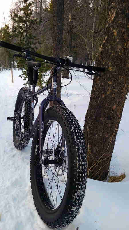 Front view of a Surly fat bike, parked in the snow against a tree in a forest
