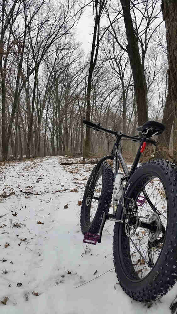 Rear view of a black Surly fat bike, parked on snow next to a road in the woods