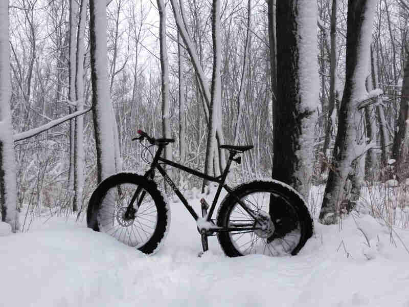 Left side view of a Surly fat bike, black, parked in deep snow, in the snowy woods