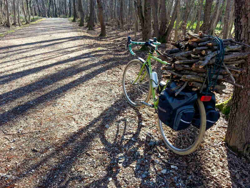 Rear left side view of a Surly bike, loaded with firewood on back, faces down a gravel road with trees on the sides