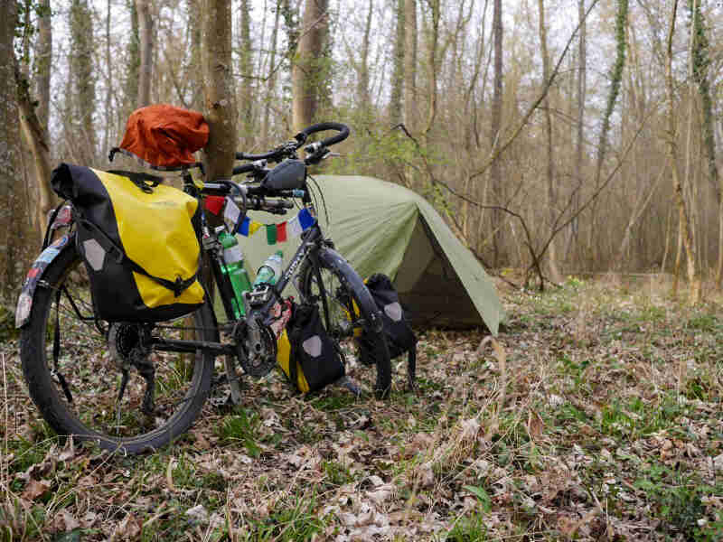 Rear view of a Surly bike, full with gear, parked at grass campsite, in front of tent in the woods