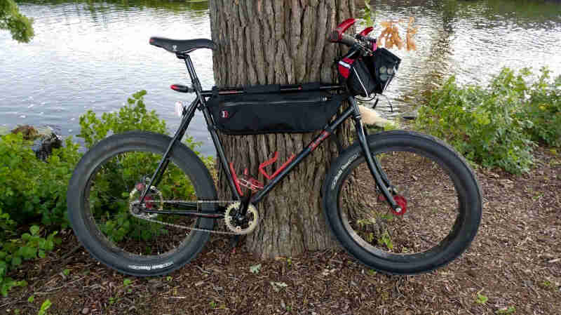 Right profile of a Surly bike, black, parked in front of the base of a tree, with a pond in the background