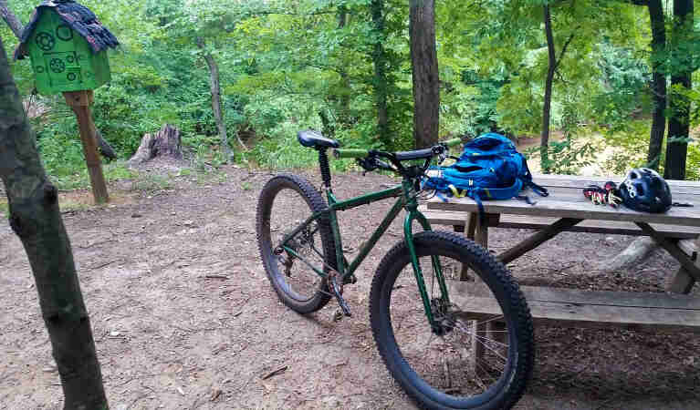 Front left view of a Surly bike, green, leaning on a picnic table, on a dirt camp area with the forest in the background