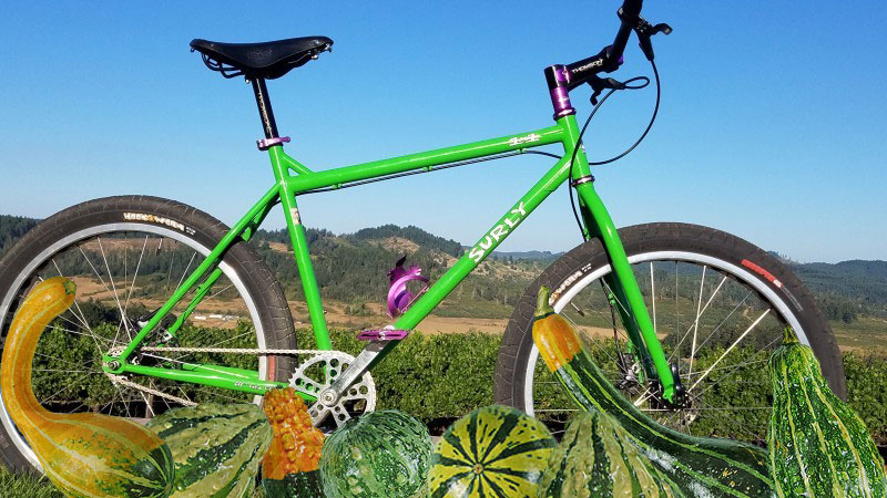 Right side profile of a green Surly bike, standing in a vegetable patch, with mountains in the background