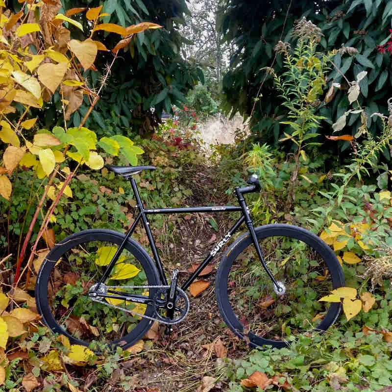 Right profile of a Surly bike, black, parked in the thick weeds