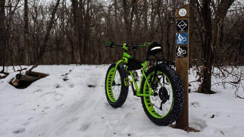 Rear left view of a Surly fat bike, hi viz green, in a snowy trail in the woods