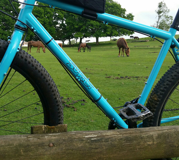 left side of a Surly bike, turquoise, leaning on a wood fence in a pasture with horses and trees 