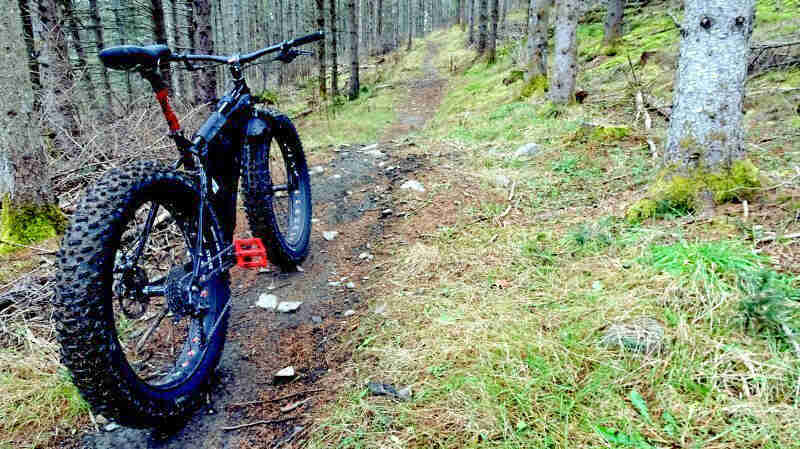 Rear view of a black Surly fat bike, parked on a narrow, rocky dirt trail in the forest