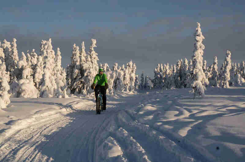 Front view of a cyclist riding a fat bike on a snow covered trail, with snowy trees in the background