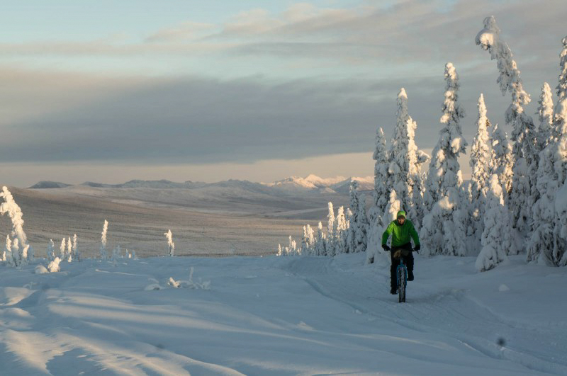 Front view of a cyclist riding a fat bike, in a snow covered field along a tree line, with mountains in the background
