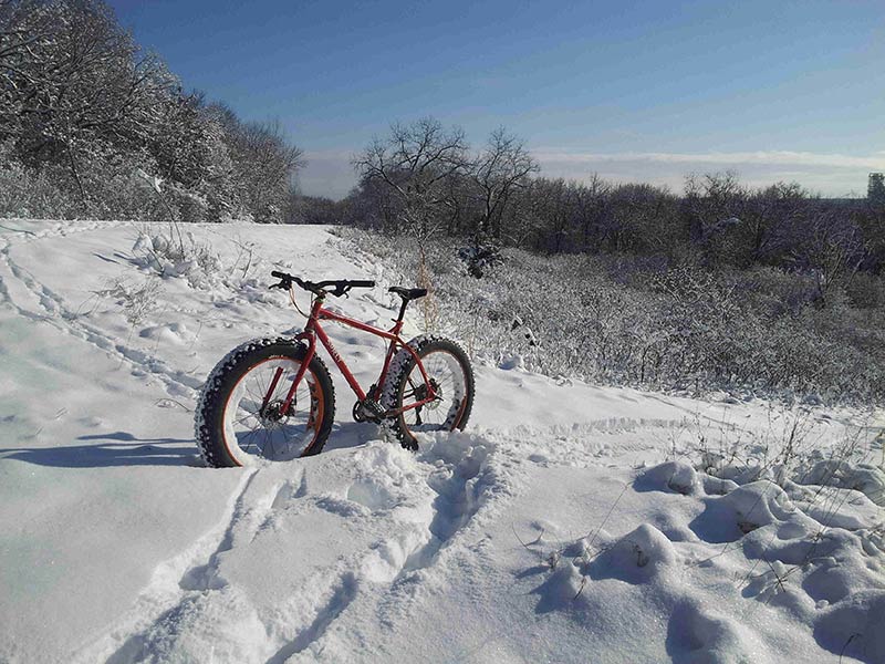 Left side view of a red Surly Moonlander fat bike, parked in deep snow, with a snowy field and trees in the background