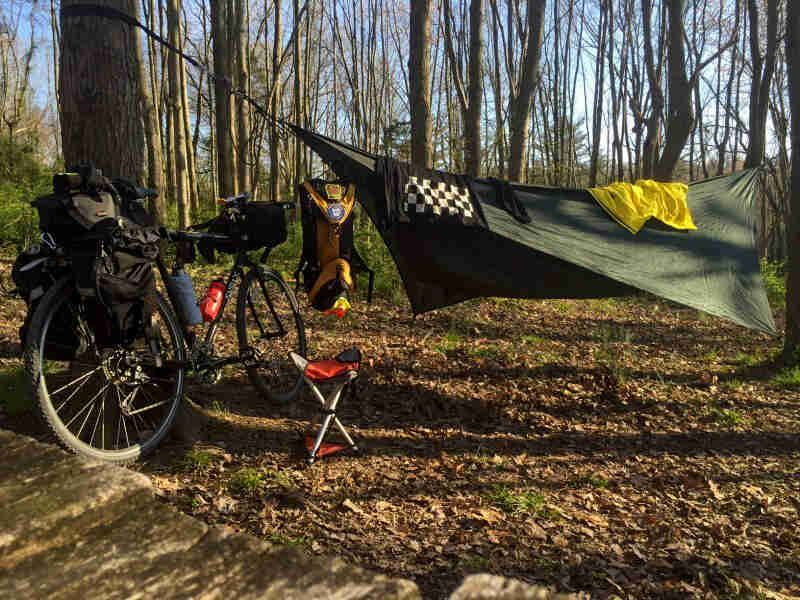 Rear right side view of a bike loaded with gear, against a tree, at a campsite in the woods 