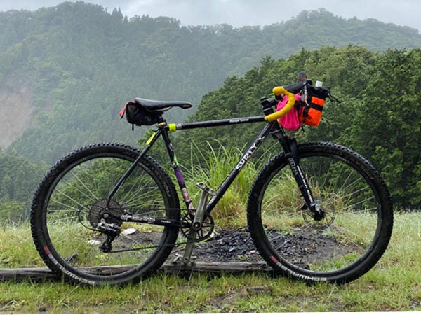 Custom built Surly Midnight Special parked in grass, mountains in background