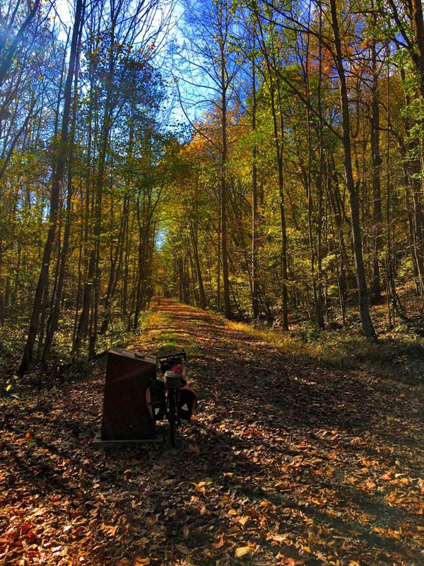 Rear view of a bike leaning on a stone park sign, facing up a leave covered trail with colorful, tall trees on the sides