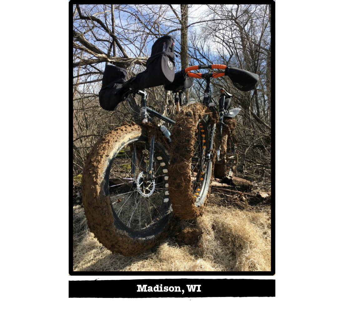Front view of two Surly fat bikes with muddy tires, in the woods - Madison, WI tag below image