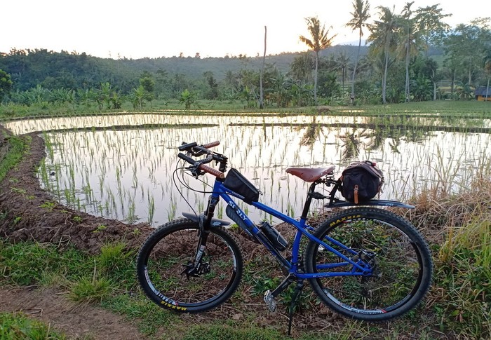 A blue Surly Karate Monkey bike with gear parked in front of a rice patty with palm tree in the background
