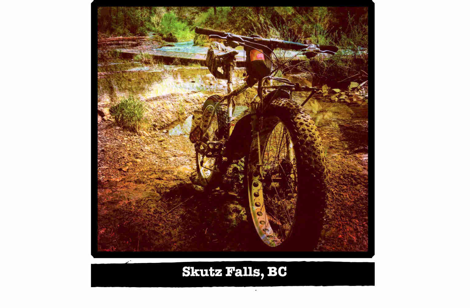 Front view of a Surly fat bike in a marsh - Skutz Falls, BC tag below image