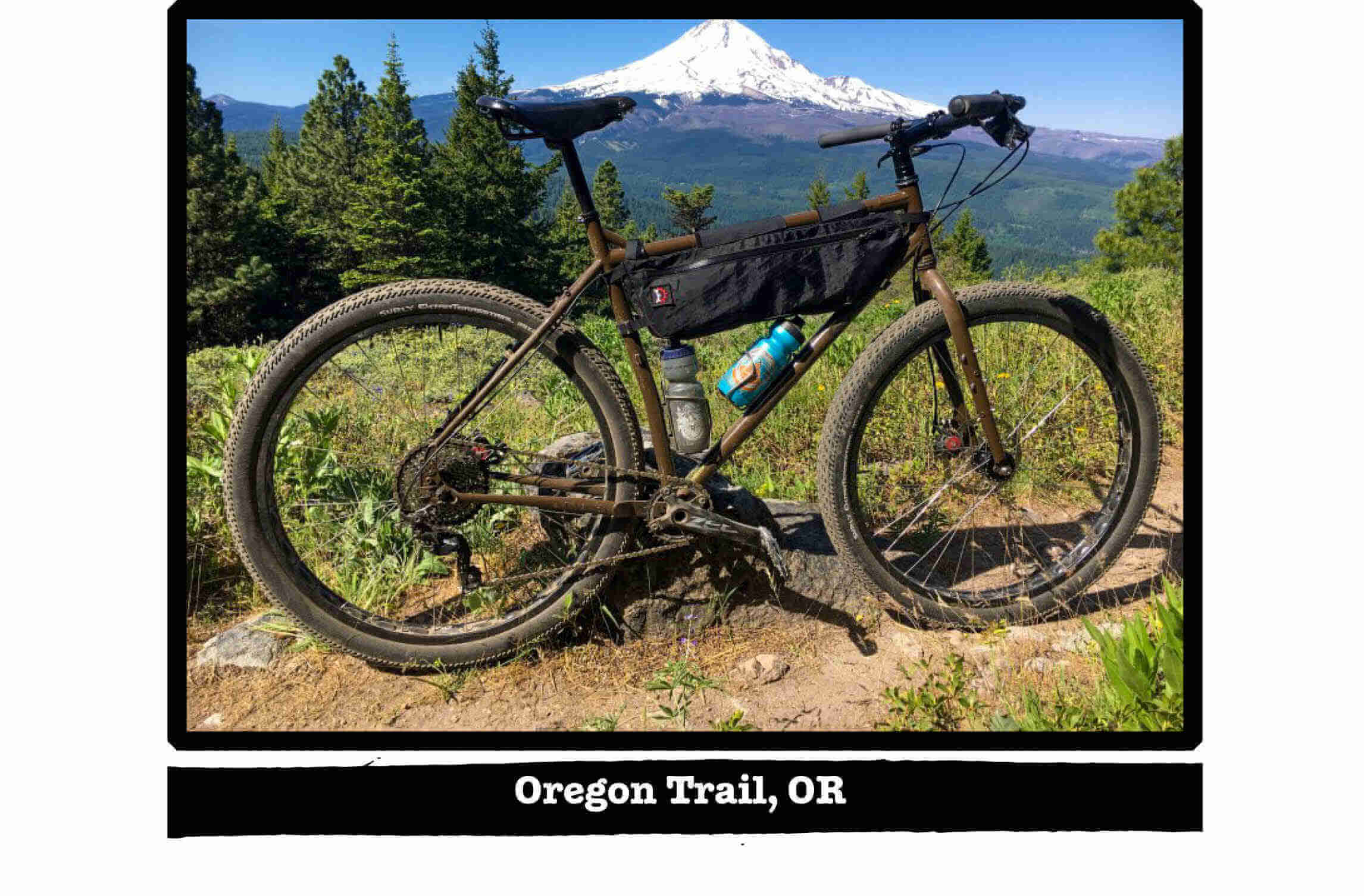 A Surly bike on a grassy hill, with pine trees and snow capped mountain in background - Oregon Trail, OR tag below image
